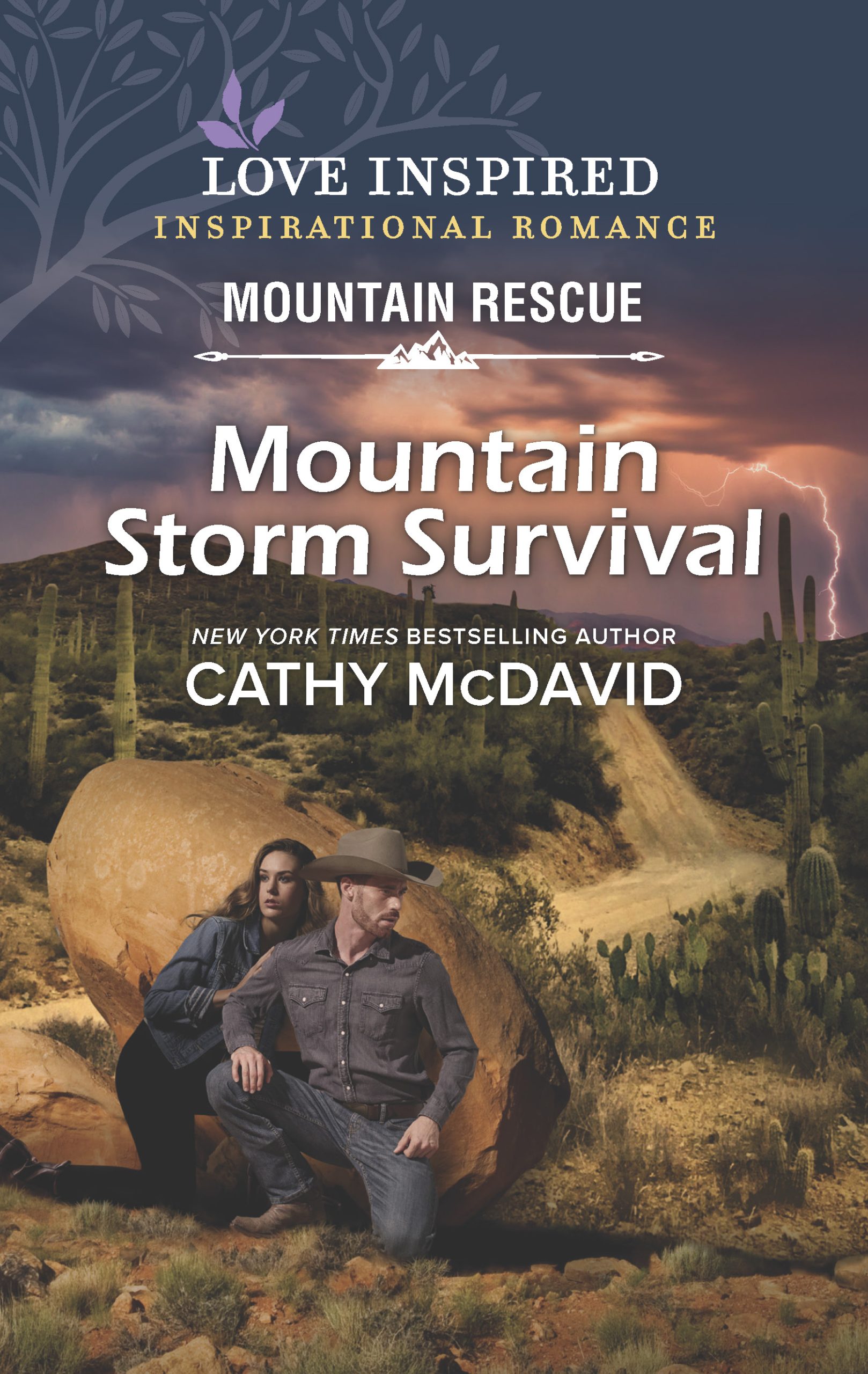 Mountain Storm Survival cover